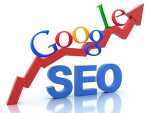 SEO WEB POSITIONING